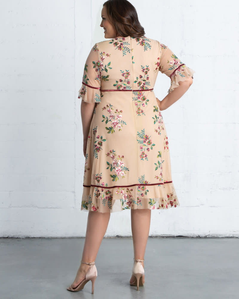 Plus Size Wildflower Embroidered Dress BLUSH